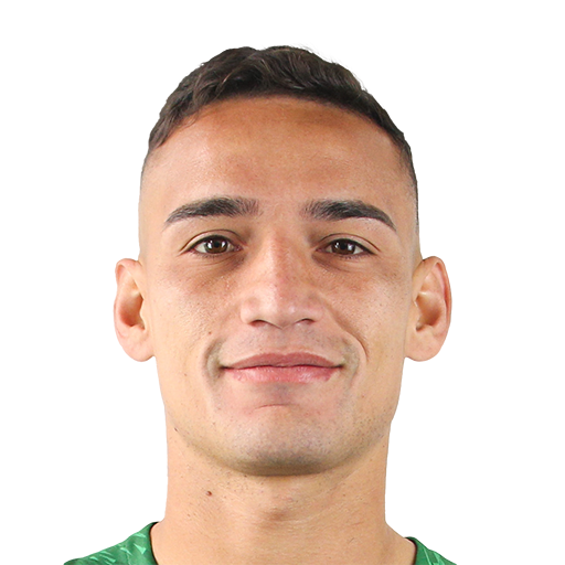 Michael Fuentes Vadulli