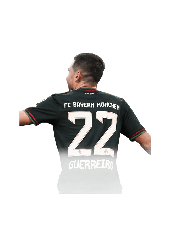 Raphaël Guerreiro