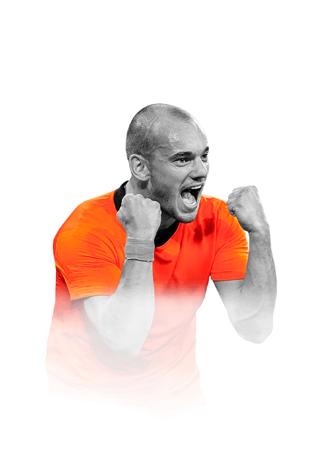 Wesley Sneijder