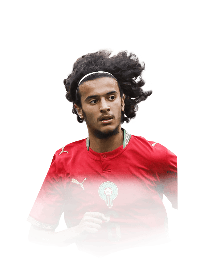Ayyoub Bouaddi