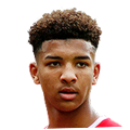 Mason Holgate
