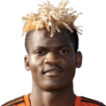 Didier Ndong
