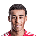 Tyler Adams