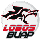 Lobos B.U.A.P.