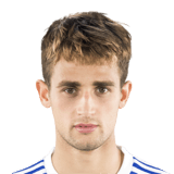 Adnan Januzaj