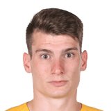 Dominik LivakoviÄ‡