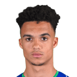 Antonee Robinson