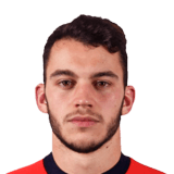 Pedro Miguel Lopes Pereira