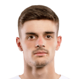 Luka Å kariÄiÄ‡