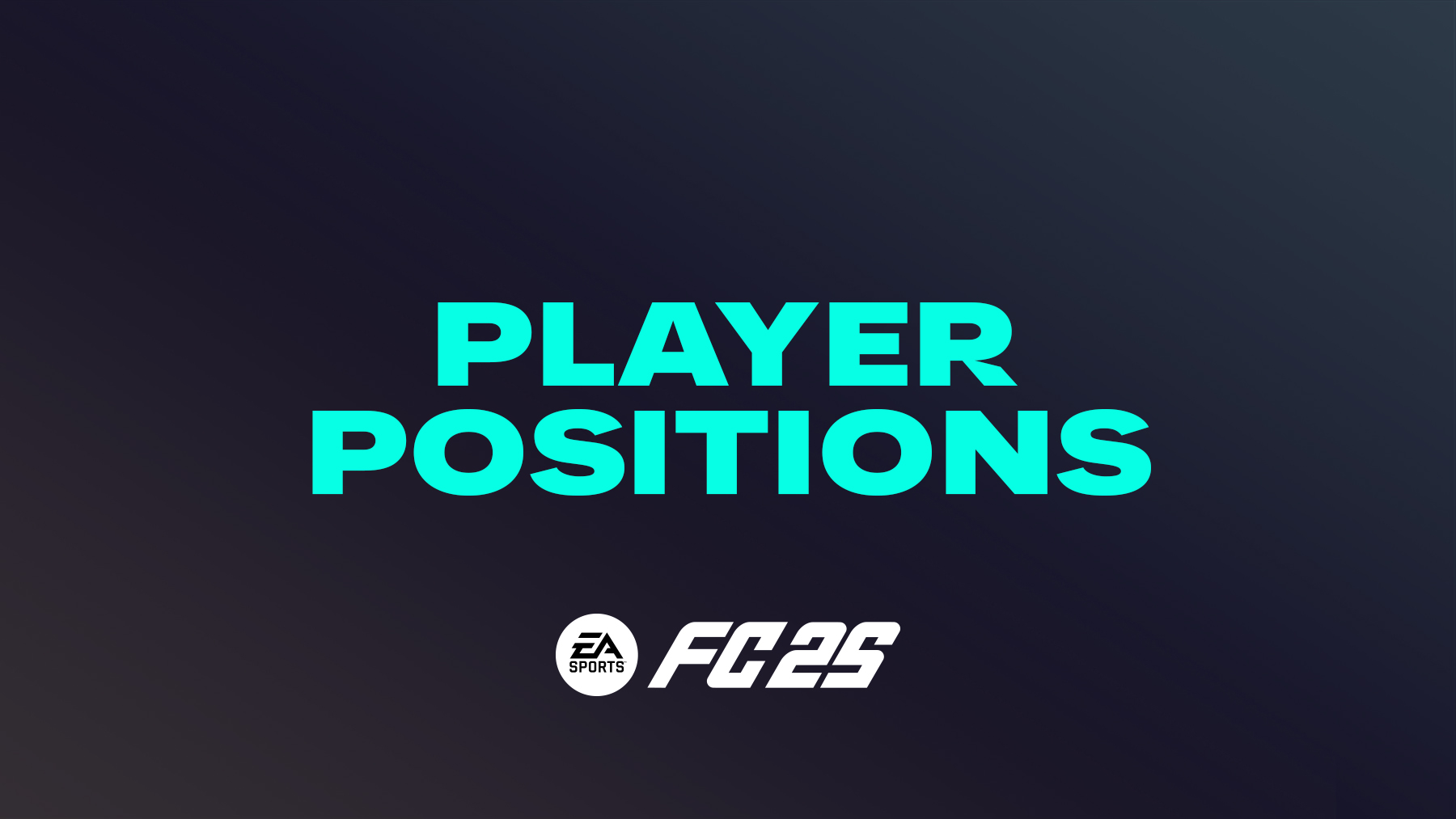 FC 25 Players Positions