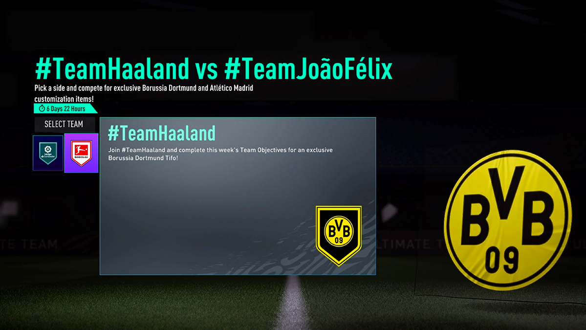 FIFA 21, Software