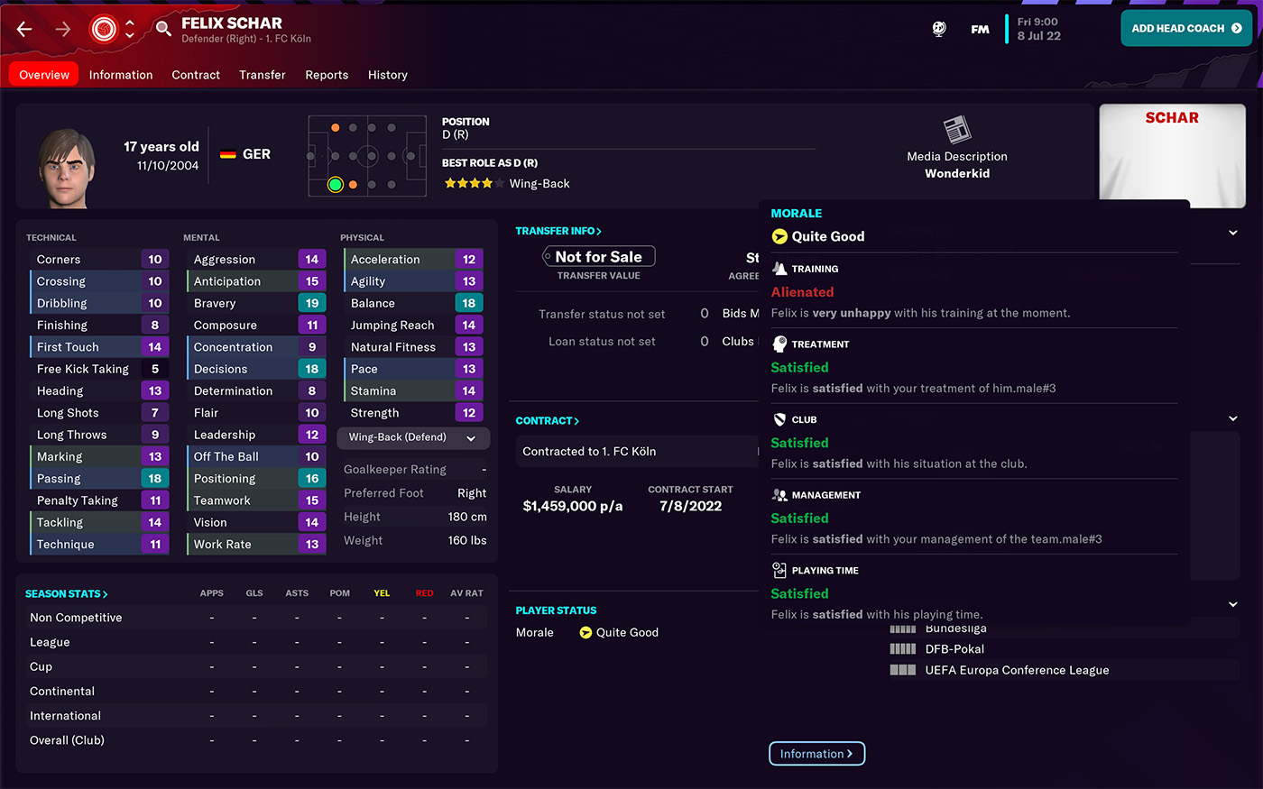 Football Manager 2023 Player Information